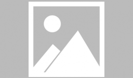 烟花视频下载,视频下载带来的视觉盛宴